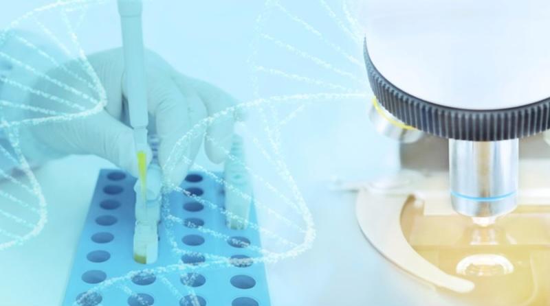 항염증, 면역조절 기능 활성화로
만성염증 질환 개선