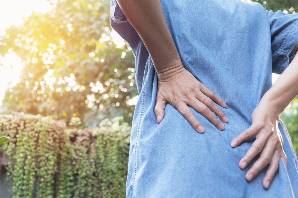 Spinal Disorders 사진