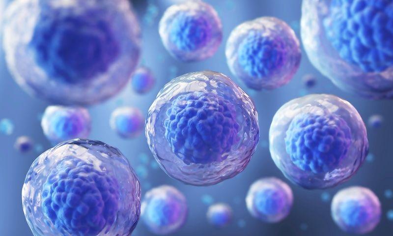 Antiviral & Infection Prevention